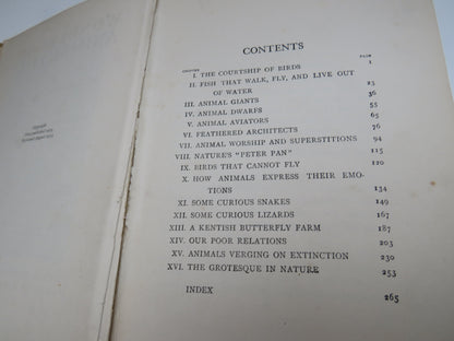 Wonders of Animal Life by W. S. Berridge, 1919 book image 7