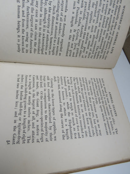 Wonders of Animal Life by W. S. Berridge, 1919 book image 8