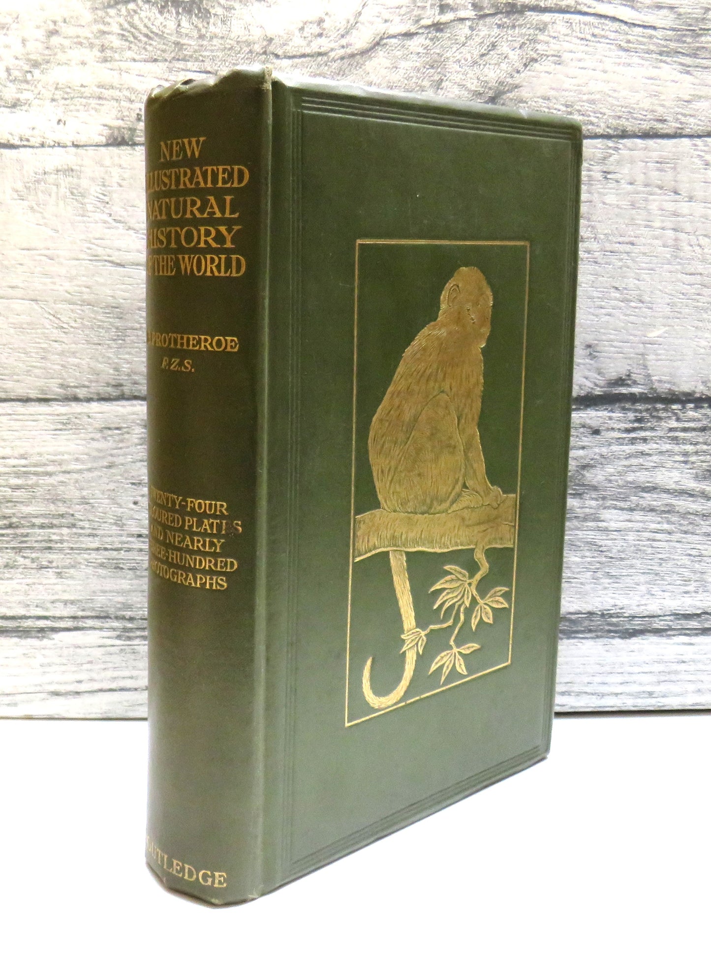 New Illustrated Natural History of the World By Ernest Protheroe
