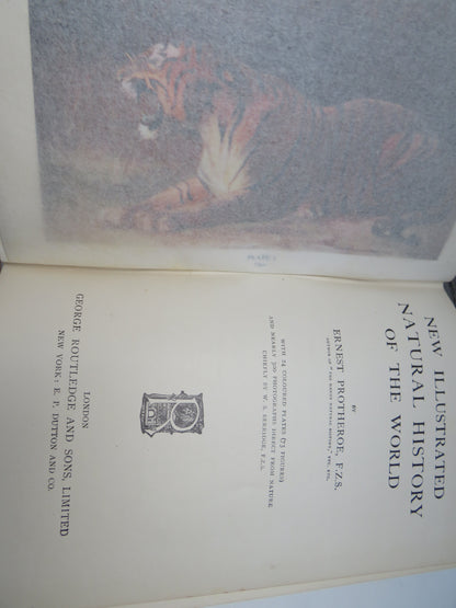 New Illustrated Natural History of the World By Ernest Protheroe book image 3