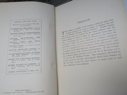 New Illustrated Natural History of the World By Ernest Protheroe book image 4