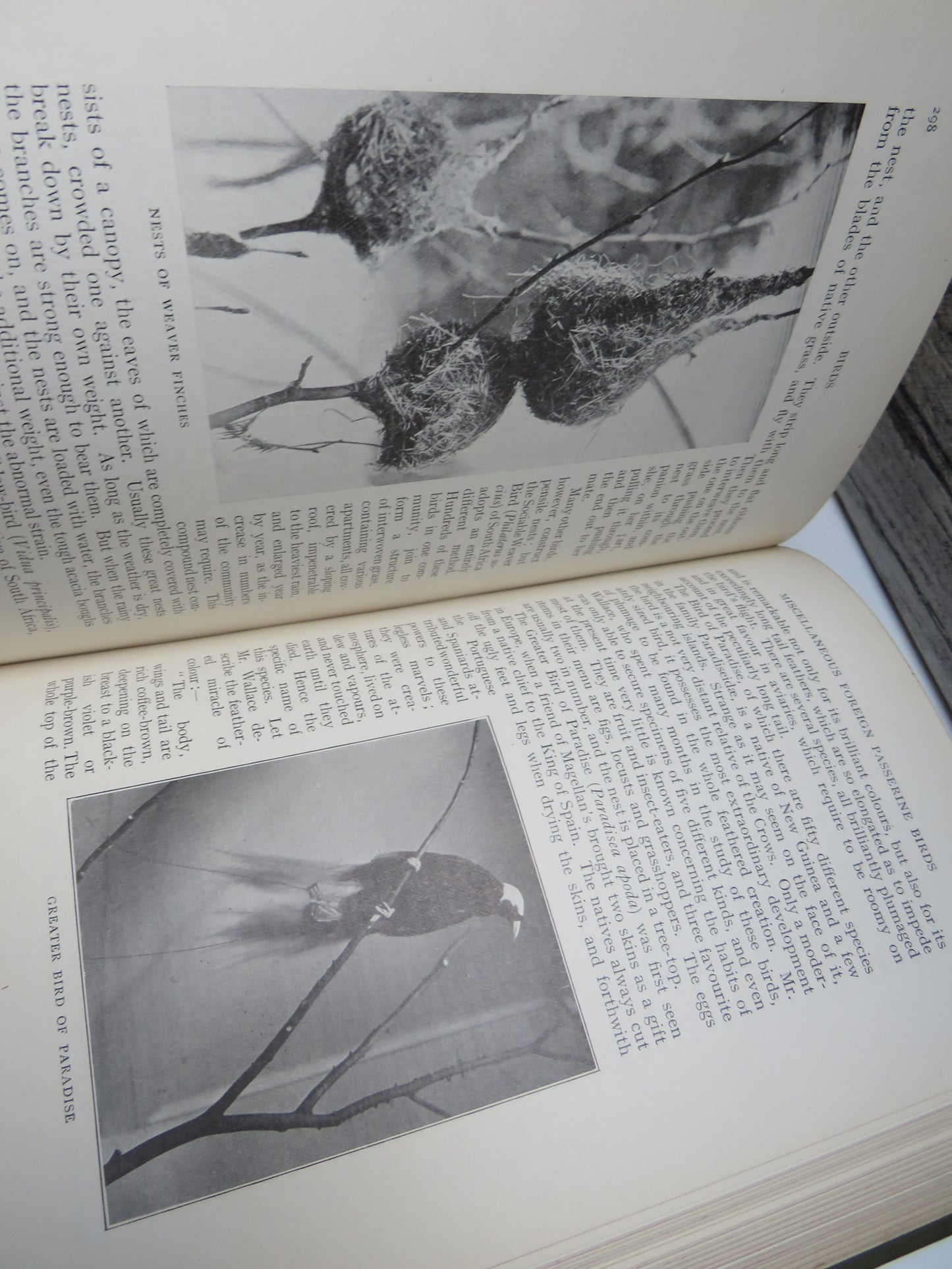 New Illustrated Natural History of the World By Ernest Protheroe