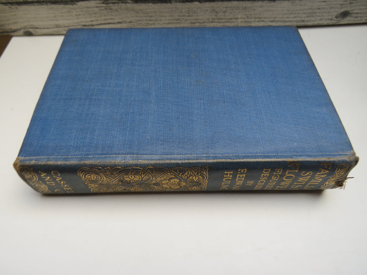 Familiar Swiss Flowers Figured and Described By F. Edward Hulme 1908