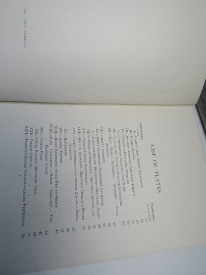 Familiar Swiss Flowers Figured and Described By F. Edward Hulme 1908 book image 4