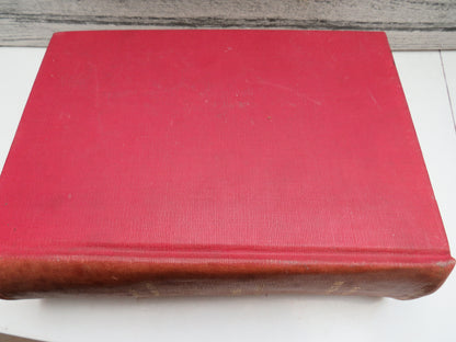 Animal Nutrition Investigations At The Institute of Animal Nutrititon of the Pennsylvania State Coll book image 2