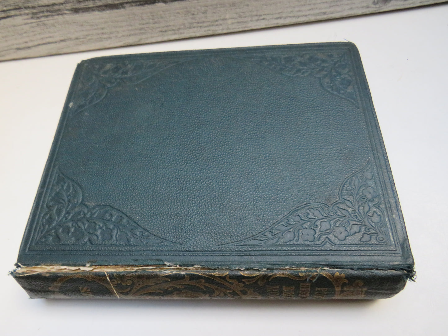 A Popular History of British Mosses By Robert M. Stark 1860