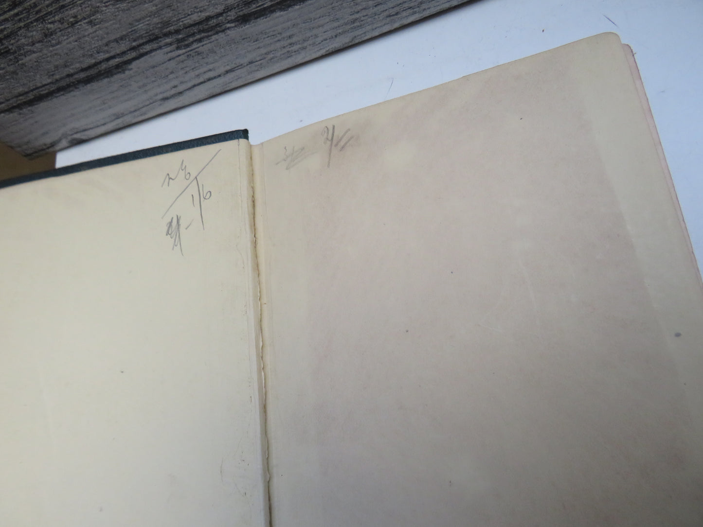 A Popular History of British Mosses By Robert M. Stark 1860