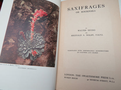 Saxifrages or Rockfoils By Walter Irving and Reginald A. Malby book image 4