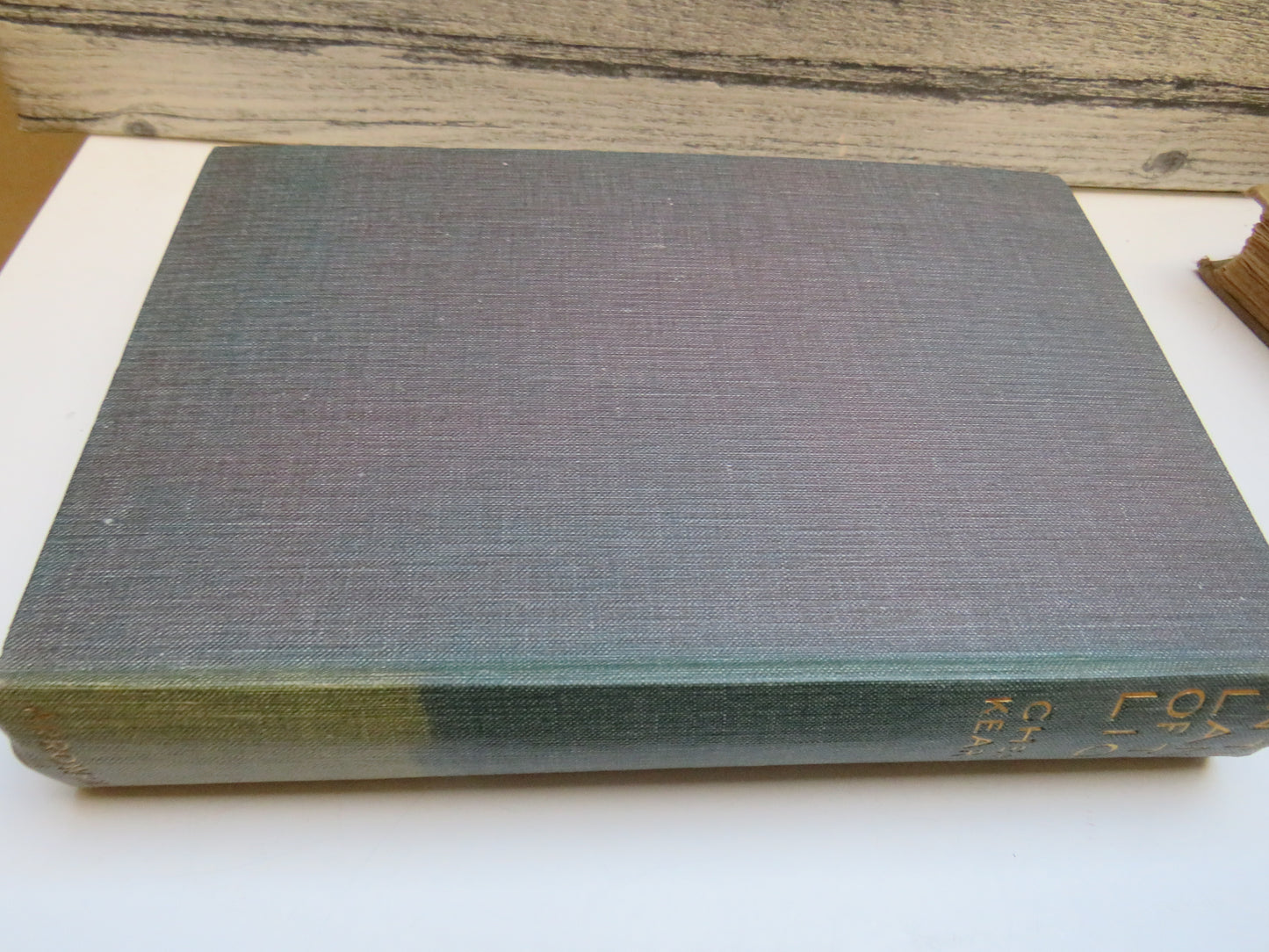 In The Land of The Lion By Cherry Kearton 1929 1st Edition