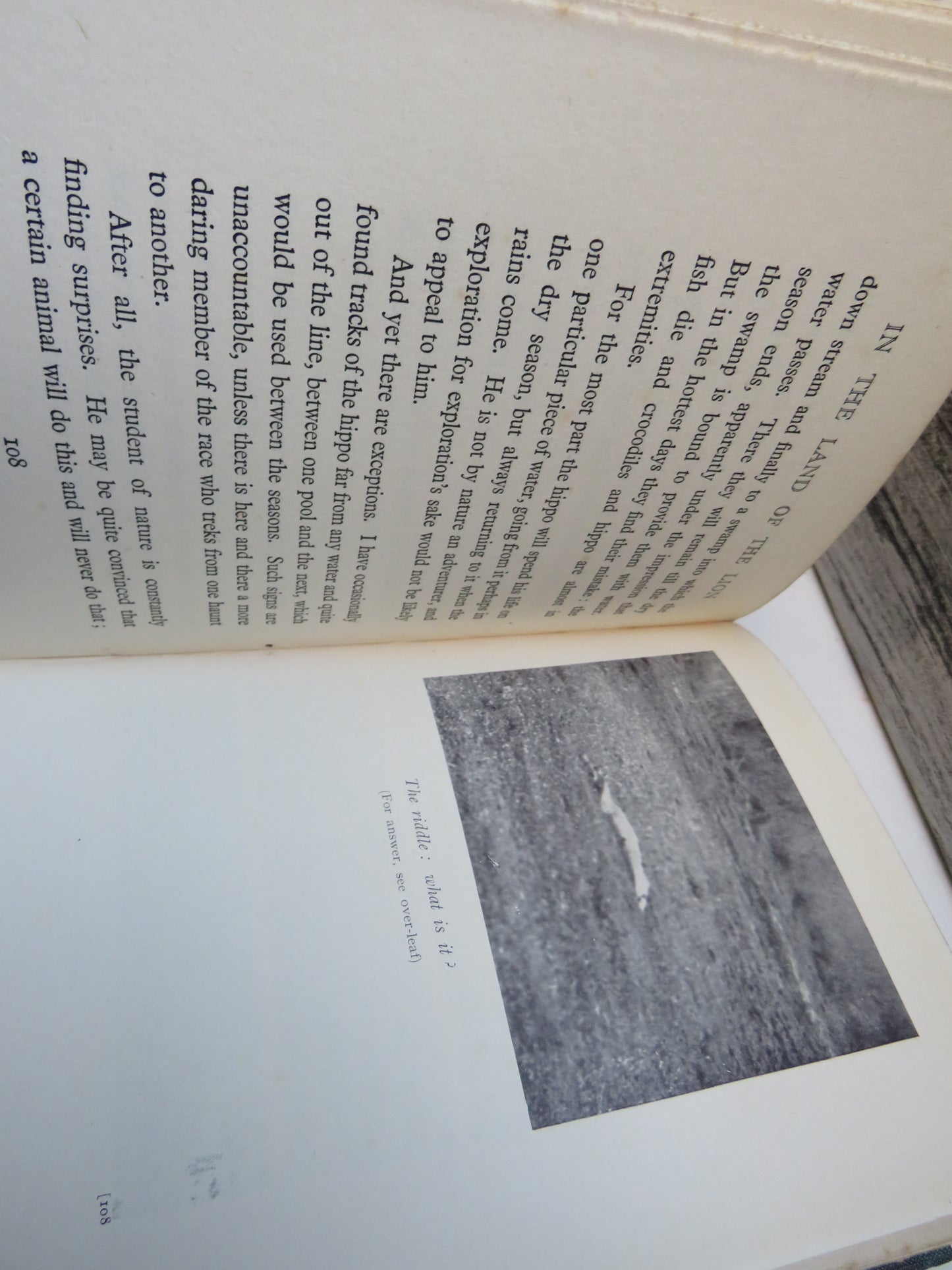 In The Land of The Lion By Cherry Kearton 1929 1st Edition