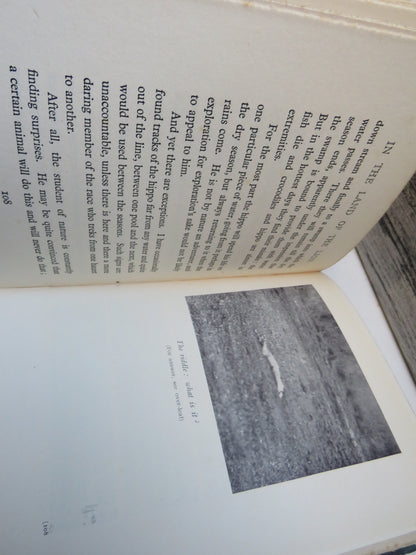 In The Land of The Lion By Cherry Kearton 1929 1st Edition book image 5