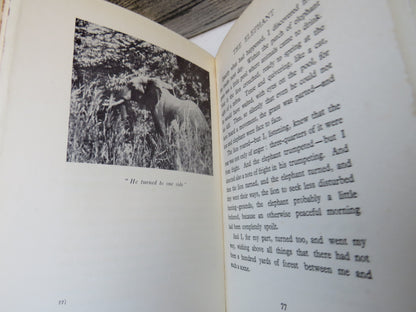 In The Land of The Lion By Cherry Kearton 1929 1st Edition book image 6