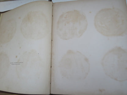 Abredoniae Vtrivsque Desciptio A Description of Both Touns of Aberdeen By James Gordon Parson of Rot book image 3