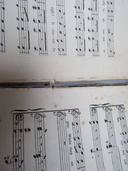 Patience or Bunthornes Bride Written By W. S. Gilbert Composed By Arthur Sullivan 1881 book image 5