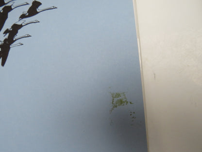 The Swans By Peter Scott and The Wildfowl Trust 1972 book image 2