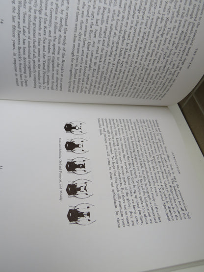 The Swans By Peter Scott and The Wildfowl Trust 1972 book image 5