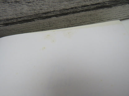 The Last Dalai Lama, A Biography by Michael Harris Goodman, 1986 book image 3