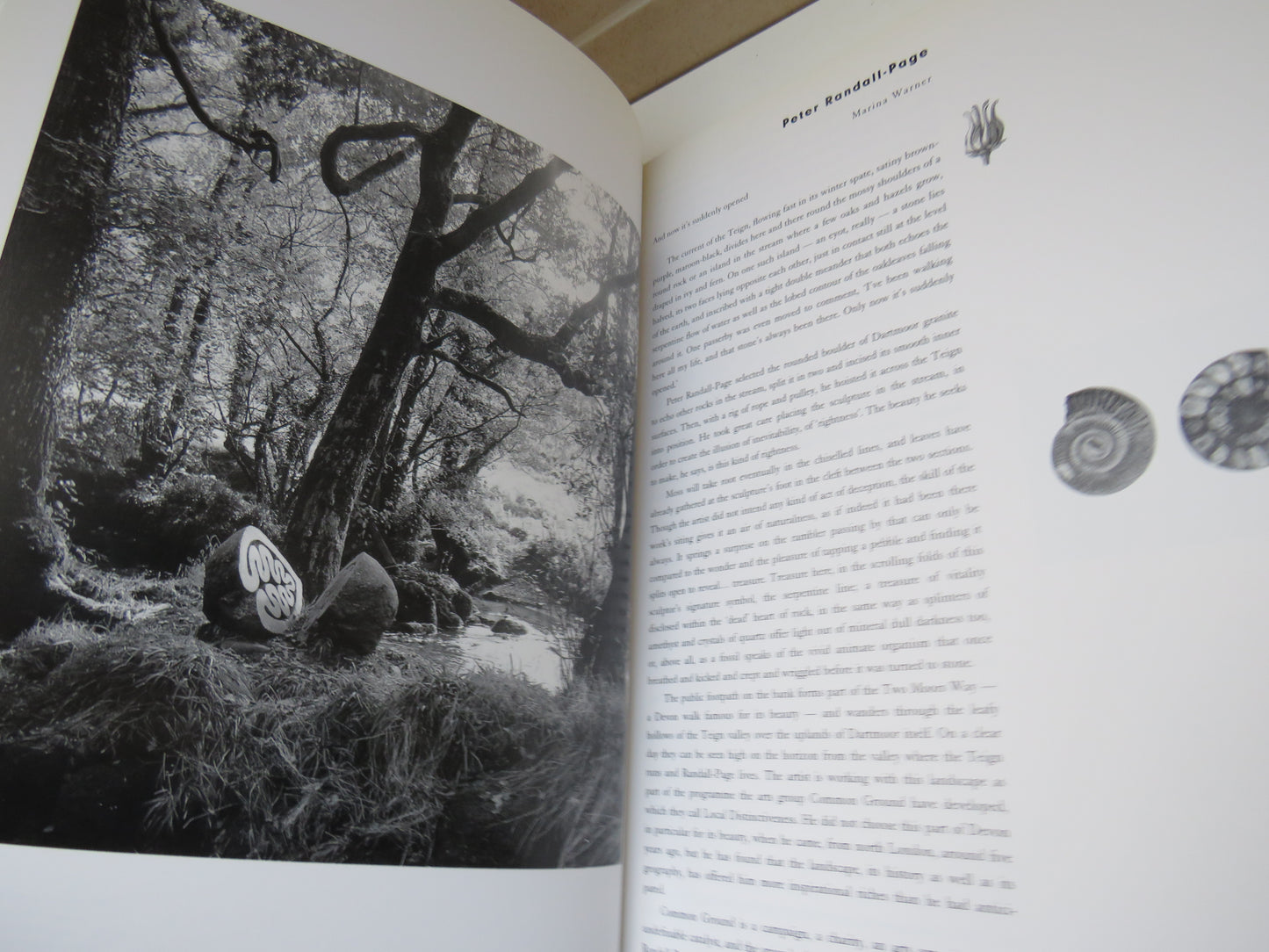 Sculpture and Drawings 1977-1992 By Peter Randall-Page 1992