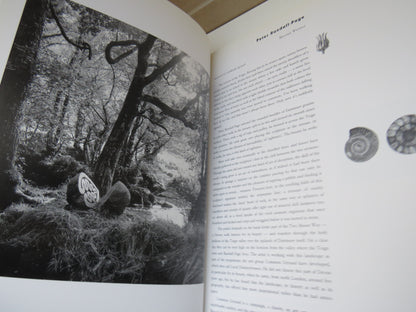 Sculpture and Drawings 1977-1992 By Peter Randall-Page 1992 book image 4