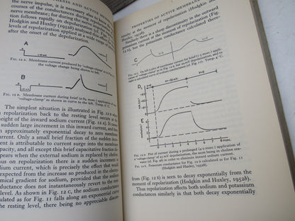 The Neurophysiological Basis of Mind The Principles of Neurophysiology By John Carew Eccles 1960 book image 5