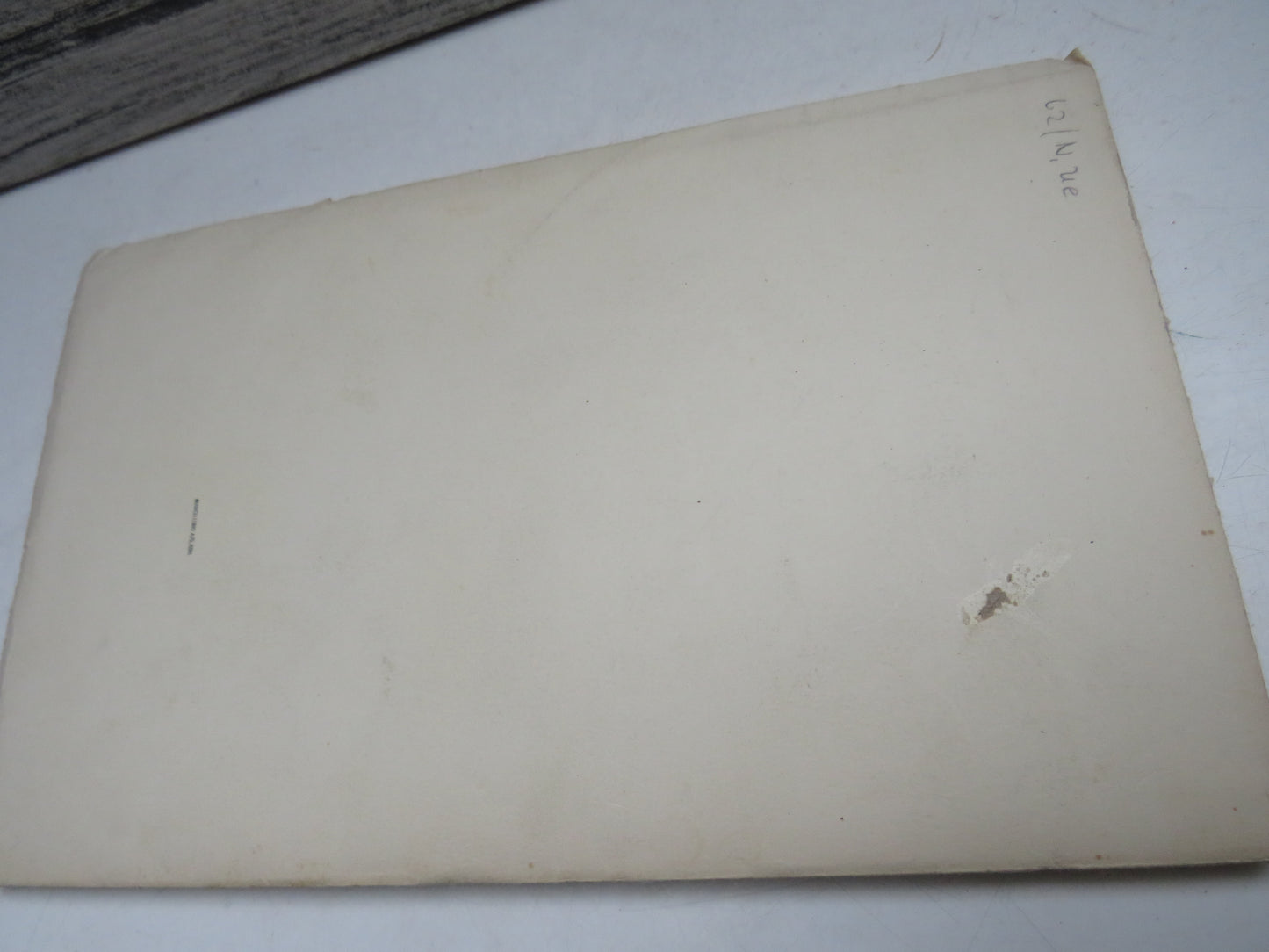 Contributions To The Breeding Biology of Larus Argentatus and Larus Fuscus 1951