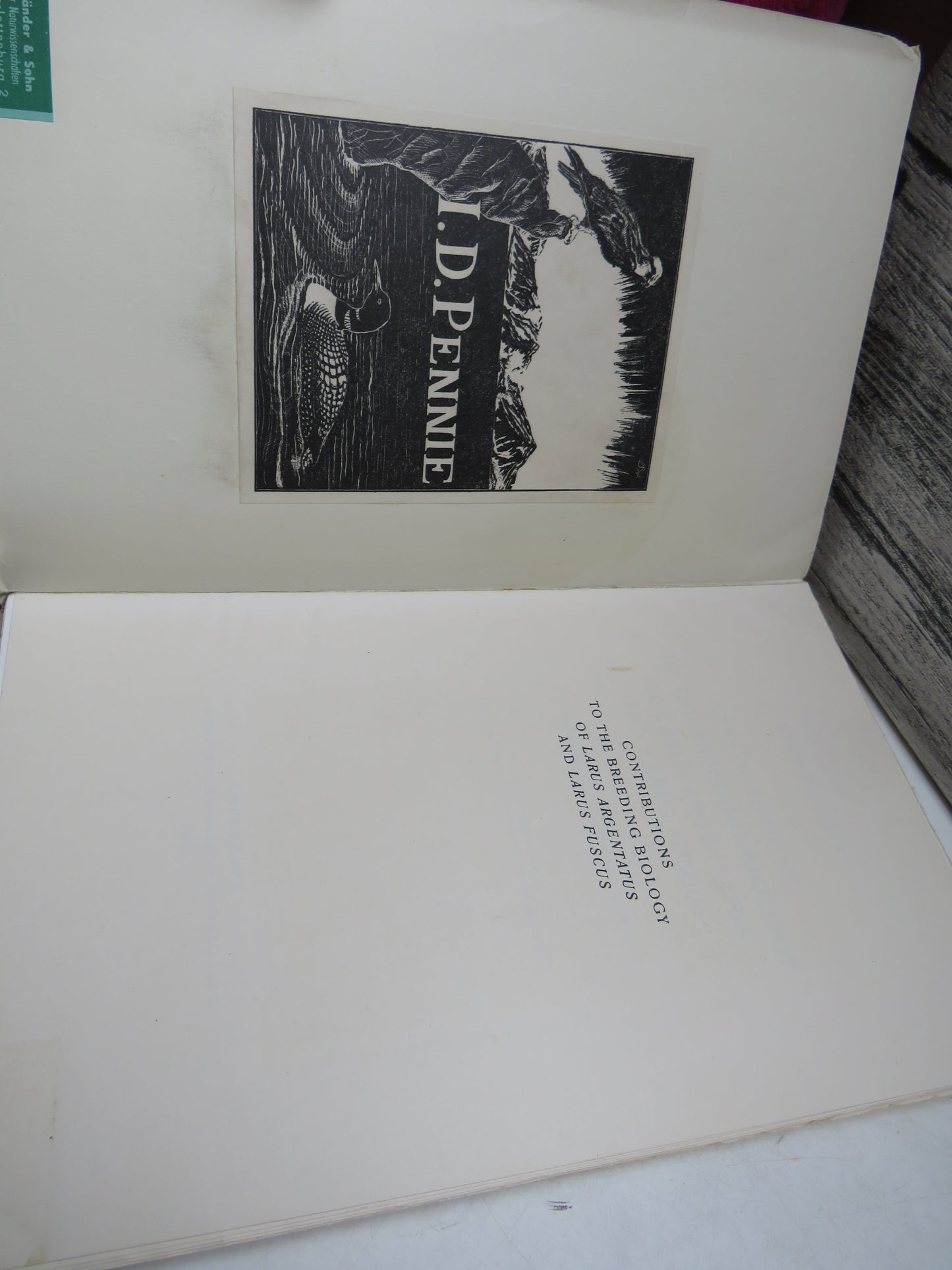 Contributions To The Breeding Biology of Larus Argentatus and Larus Fuscus 1951