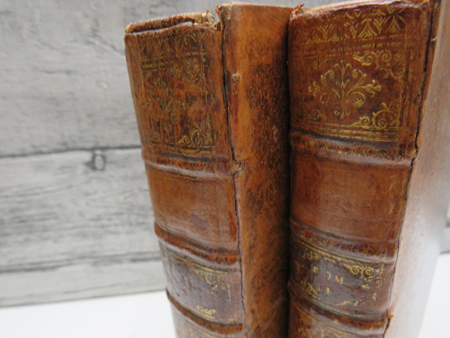 Les Avantures De Telemaque, Fils D'Ulysse Par Feu Messire Francois De Salignac De La Motte Fenelon 1738