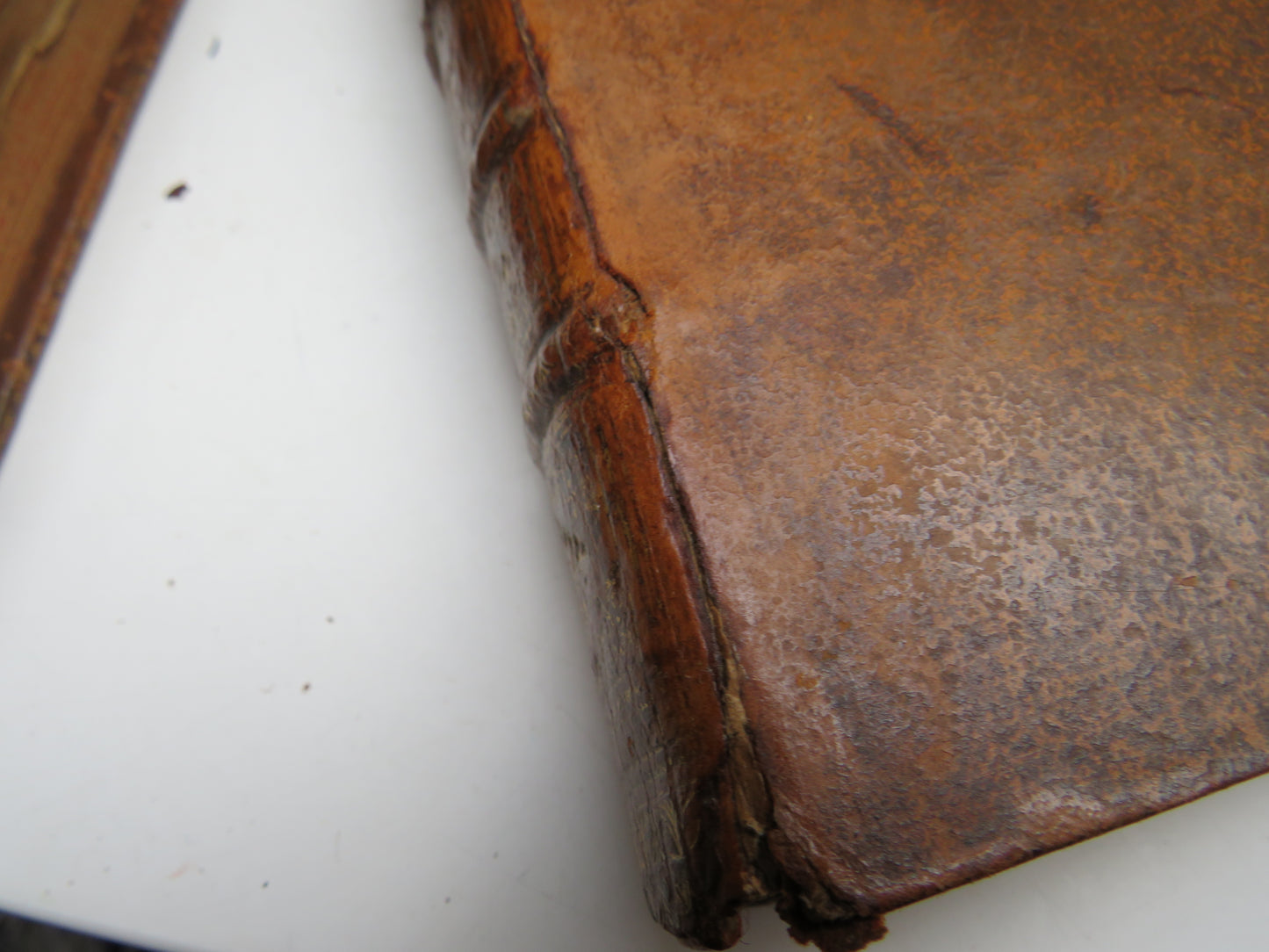 Les Avantures De Telemaque, Fils D'Ulysse Par Feu Messire Francois De Salignac De La Motte Fenelon 1738
