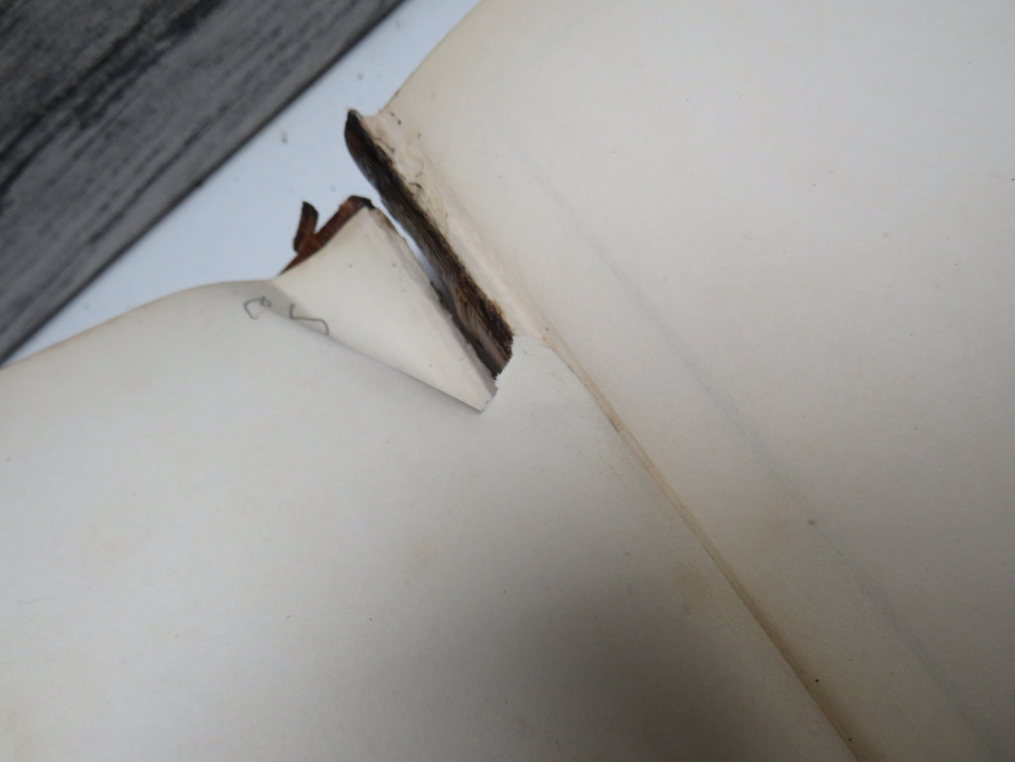 Curiosities of Literature By I. D'Israeli A New Edition 1840
