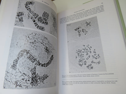 Insect Cytogenetics Edited by R. L. Blackman, G. M. Hewitt and M. Ashburner, 1980 book image 5