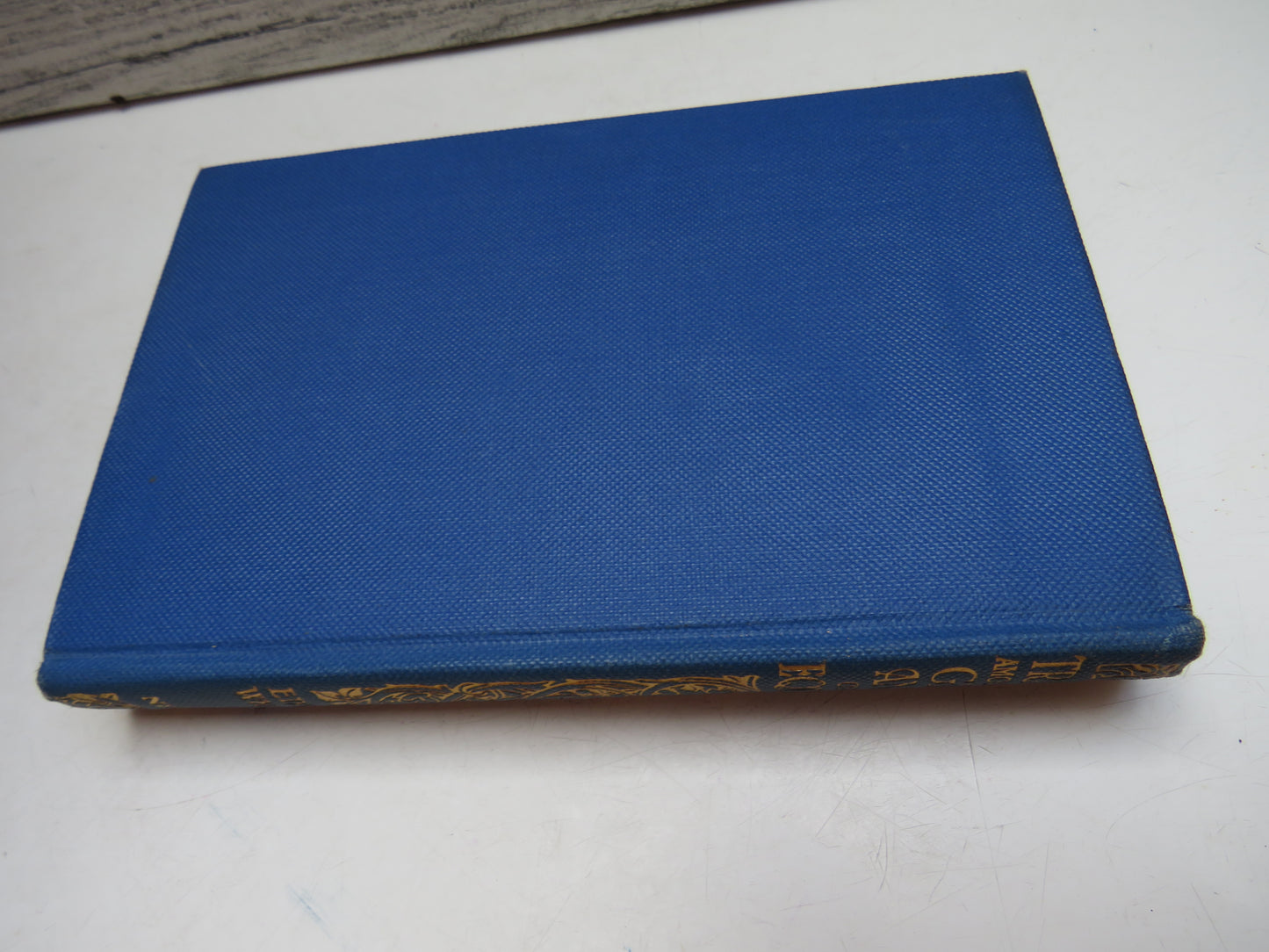 Travels Amongst the Great Andes of the Equator by Edward Whymper