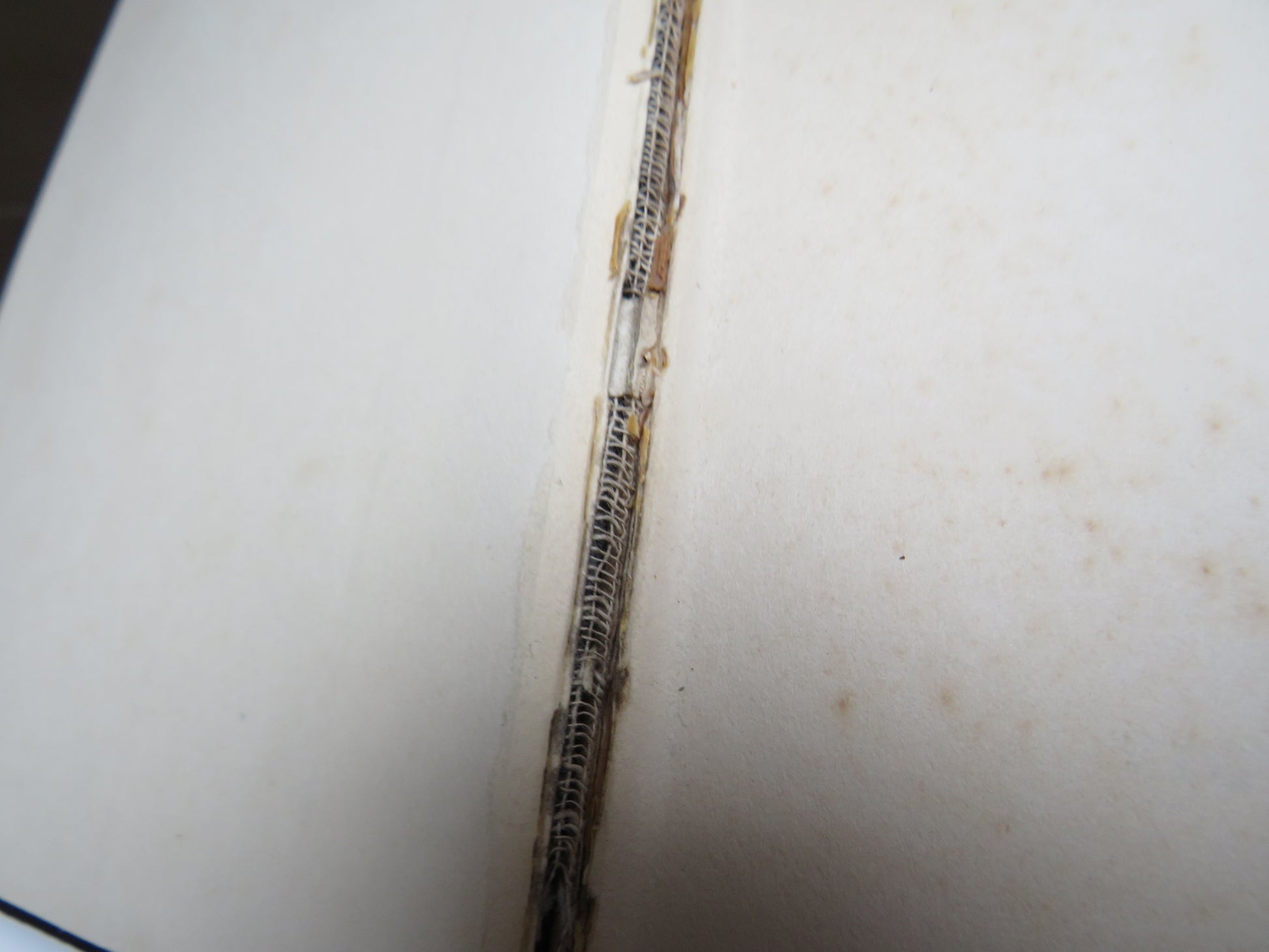 Thrice a Stranger New Chapters of Autobiography By Vera Brittain 1938 book image 4