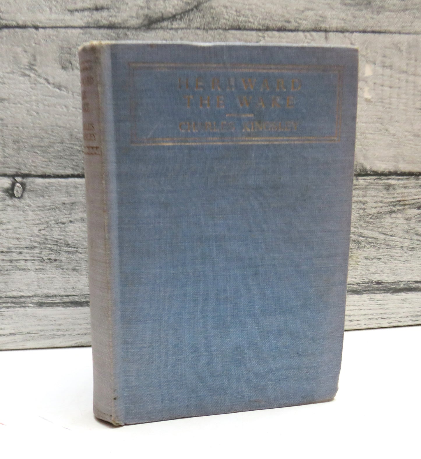 Hereward The Wake By Charles Kingsley With Original Illustrations By Richard Ogle