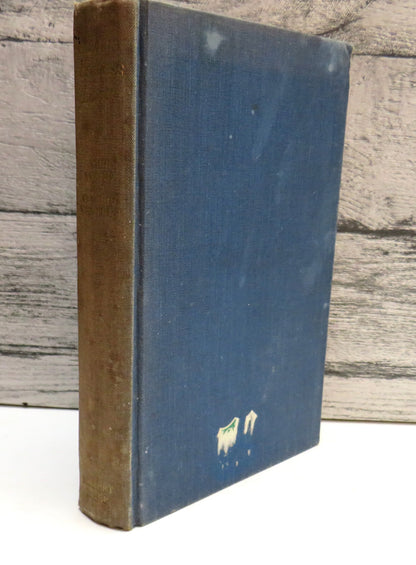 The Useless Land, A Winter in the Atacama Desert by John Aarons and Claudio Vita-Finzi, 1960 book front cover