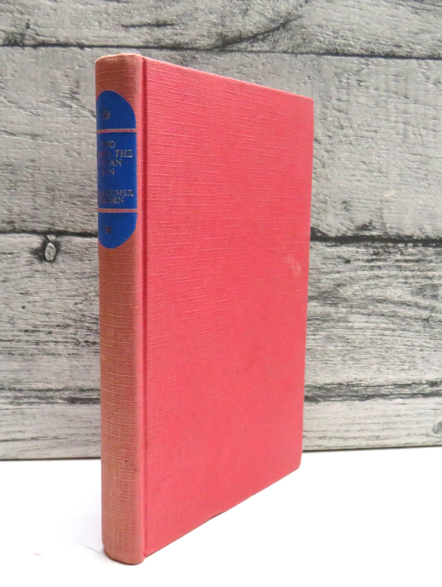 Two Under The Indian Sun By Jon and Rumer Godden 1966