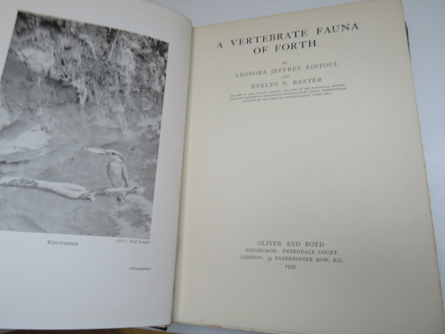 A Vertebrate Fauna of Forth by Leonora Jeffrey Rintoul and Evelyn V. Baxter, 1935