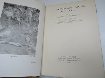 A Vertebrate Fauna of Forth by Leonora Jeffrey Rintoul and Evelyn V. Baxter, 1935 book image 4