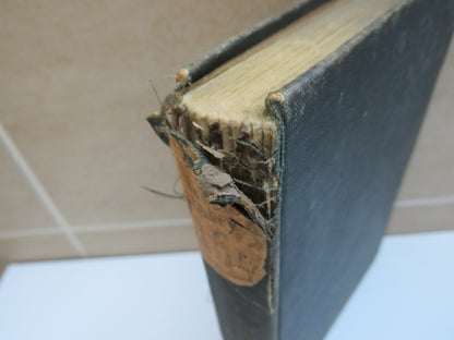 A Large Diary By W. N. P. Barbellion With A Preface By Arthur J. Cummings 1920 book image 2