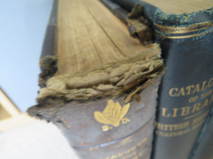 Large Collection of Catalogue of the Library In The British Museum Books book image 7