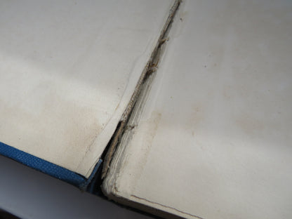 Sprays of Northern Pine By Fergus Mackenzie 1897 book image 4