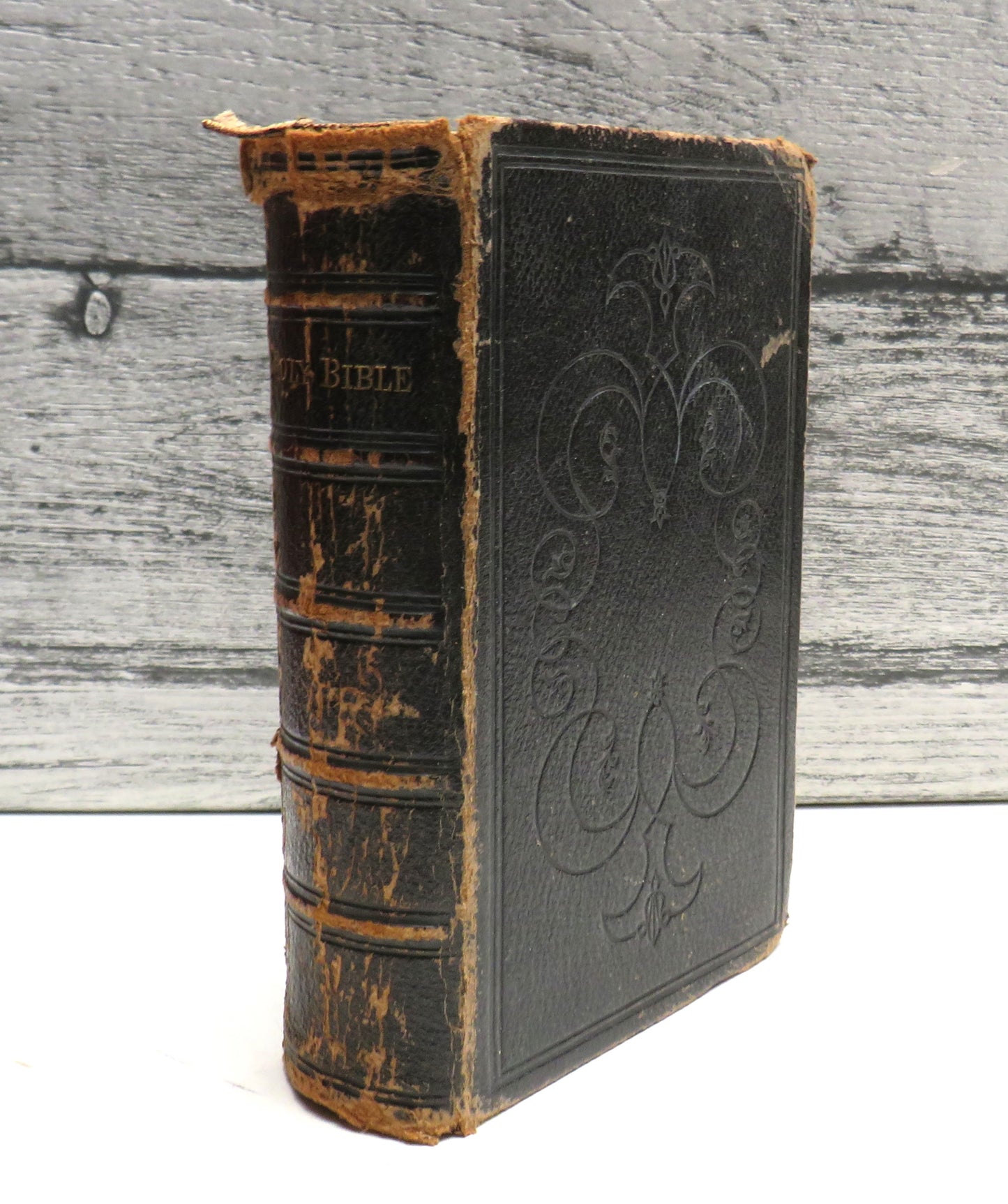 The Holy Bible Containing The Old and New Testaments Antique Book
