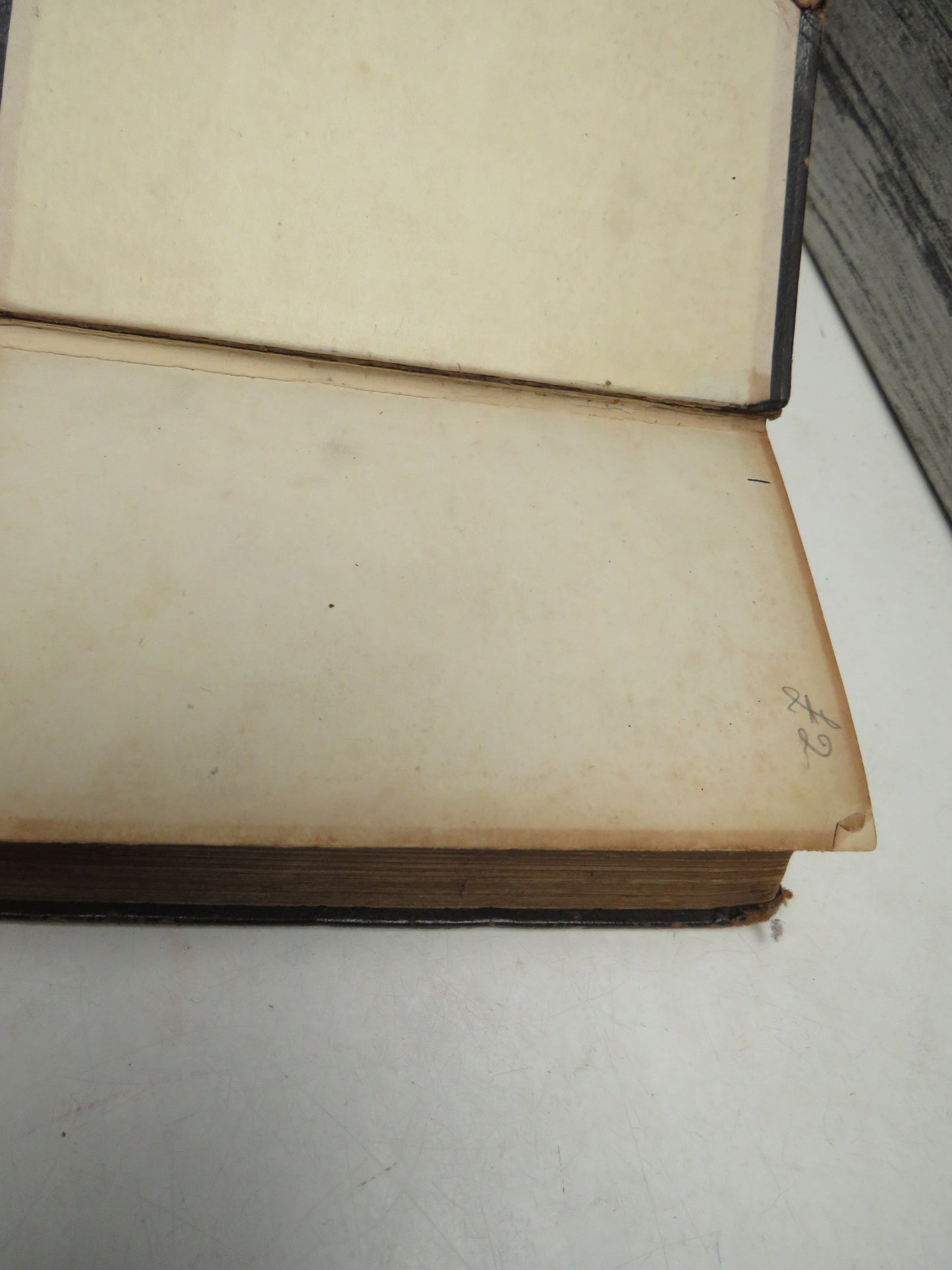 The Holy Bible Containing The Old and New Testaments Antique Book