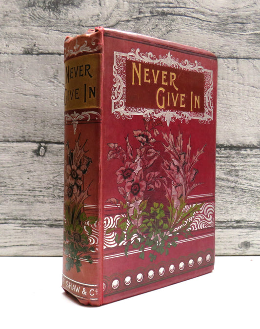 Never Give In A Tale of the Life and Times of Gustavus Adolphus By G. Stebbing book front cover