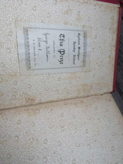 Never Give In A Tale of the Life and Times of Gustavus Adolphus By G. Stebbing
