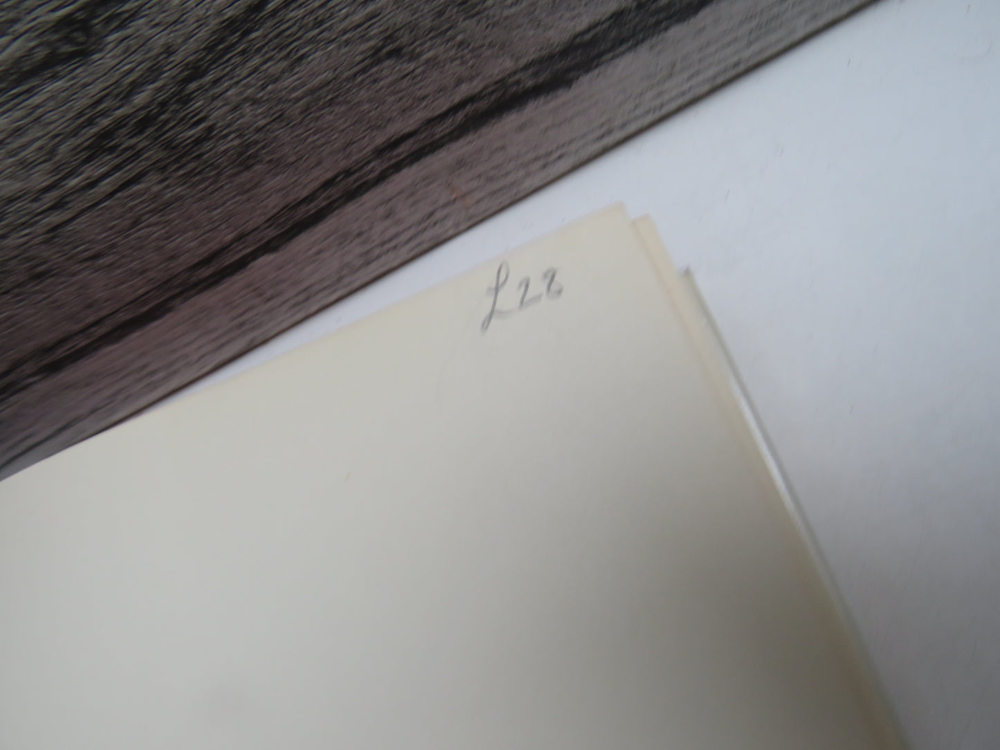 The Winnington Letters John Ruskin's Correspondence With Margaret Alexis Bell and the Children at Winnington Hall 1969