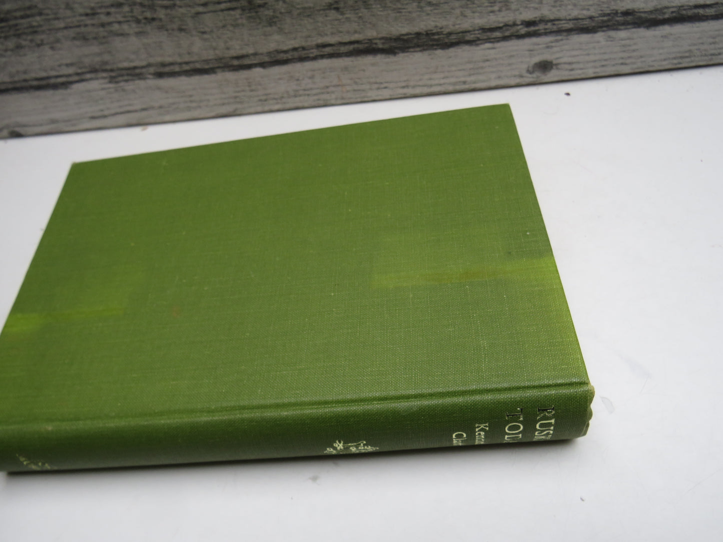 Ruskin Today Chosen and Annotated By Kenneth Clark 1964