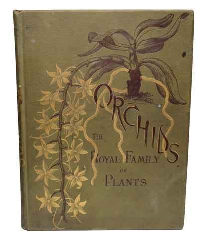 Orchids, The Royal Family of Plants with Illustrations from Nature by Harriet Stewart Miner, 1885 book front cover