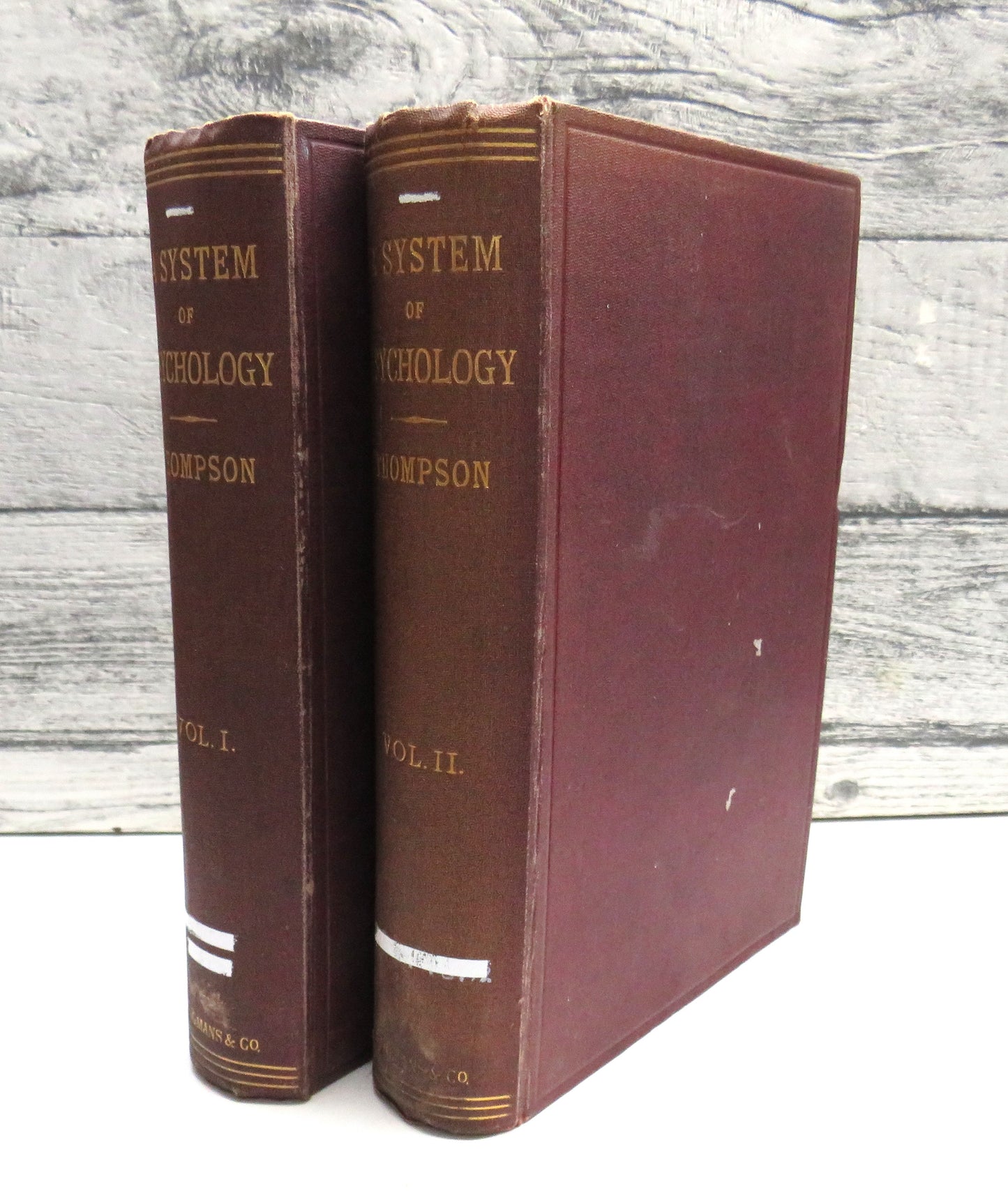 A System of Psychology by Daniel Greenleaf Thompson, 1884, 2 Volume Set