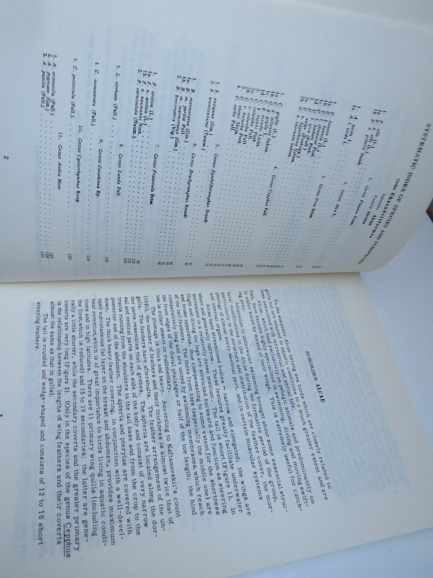 Fauna of USSR Birds Volume II No 3 By E. V. Kozlova 1961