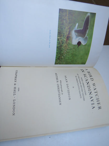 A Bird Watcher In Scandinavia Some Observations Of The Rarer British Visitors In Their Native Haunts book image 3